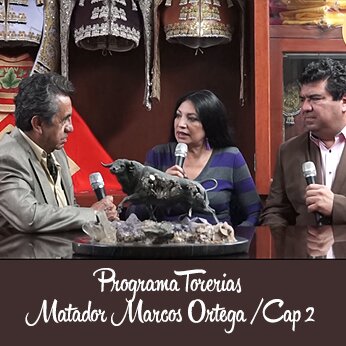 Programa Torerias